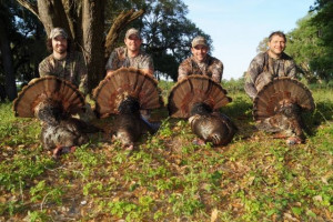 Osceola Turkey Hunts North Florida